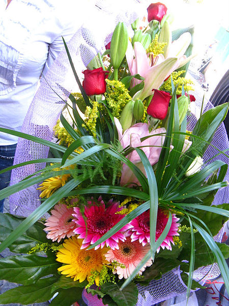 Czym jest florystyka
